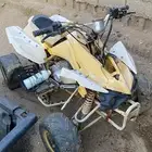 دبابين للبيع