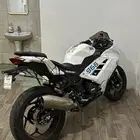 ريس باور سبورت 2021