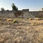 ارض للبيع بحي الشقة بمخطط المنصورة بحد ( 120 الف )