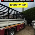 دينه ايجار دينا توصيل مشوار