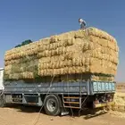 لوري
