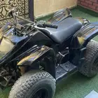 دباب سويدي كبير
