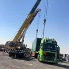لوبد متوجد في القصيم لوابد القصيم لوبد في القصيم