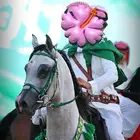 حصان واهو