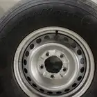 بلون وجنوط