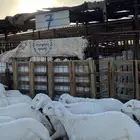 طليان حريات ونجد ذبايح فاخر ونظيف شرط مناسبات زواجات ثلاجات