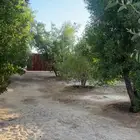 مزرعة للإيجار قرية زبالا