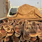 صندوق للبيع