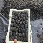 عجوة رطب