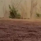 متجر بطحاء طابه الحمراء