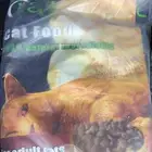 اكل قطط