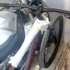 مارلين5 2025