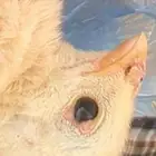 من قد مر عليه هالاورام حو ل عين الكتوت وش علاجها