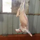 ذبائح مع خدمة الذبح والتوصيل