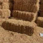 مطلوب تبن بر ناعم حمولة تريله