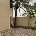 نخلة شكل شكله 4 متر