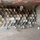 حمام