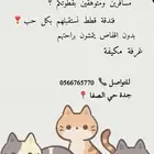 فندقة قطط جدة حي الصفا