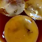 فطر وشاي الكامبوتشا