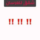 شقة للعرسان مطلوب