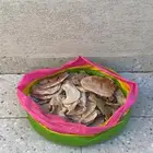 خبز ناشف اللي يحتاجه يجي ياخذه بلاش