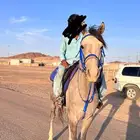 حصان شعبي