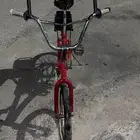 سيكل إندنوسي