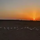 حمام فرنسي سوبر جامبو