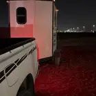 نقل خيل