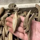 مروكي آصقون سوبر