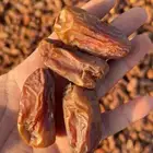 بيشه الجعبه