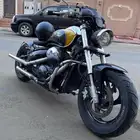 دباب بوليفارد c50