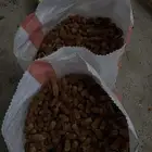 تمر للحلال للبيع