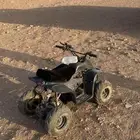 دباب للبيع