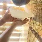 حمام فرنسي وبغدادي أنتاج