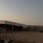 شينكو مستعمل وحديد