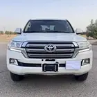 هدد اليحيى فل