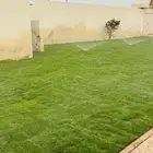 ثيل طبيعي C2000