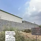 تفاصيل واتساب