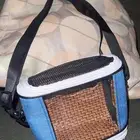 طيور