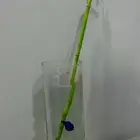 عمرك أهديت روح  جرب تهدي