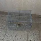 قفص طيور