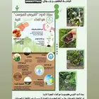 سماد دود فيرمي كمبوست عضوي