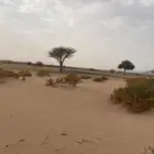 البيع بطحاء رضوان