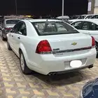 كابرس ابيض 2011