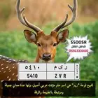 لوحة اسم مميز ريم