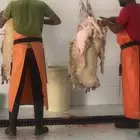 ذبايح