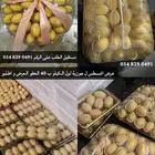 جوزية المدينة