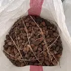 تمر