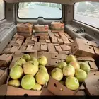 رمان بيده